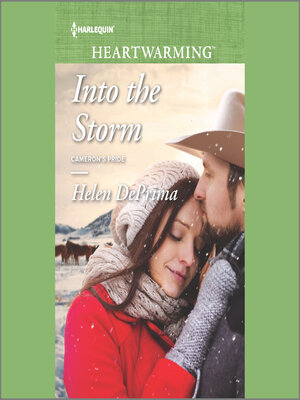 cover image of Into the Storm